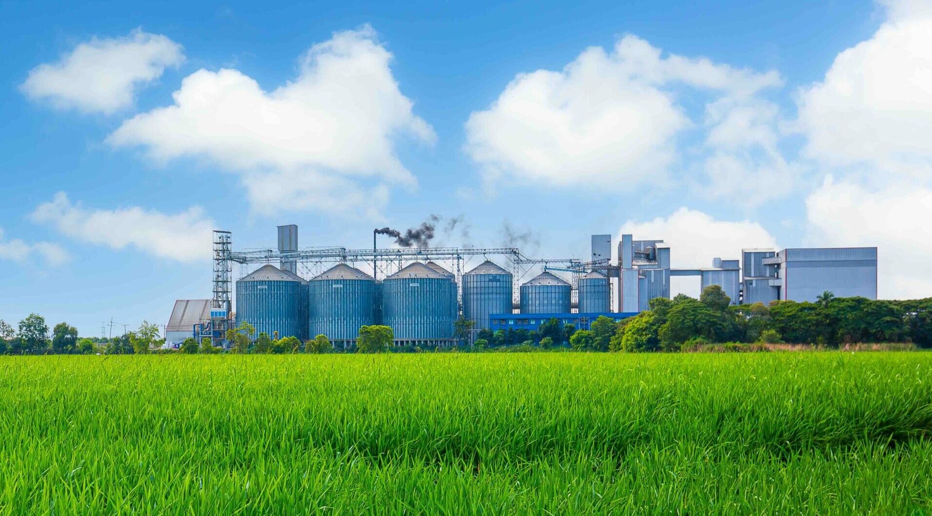 Industrial plants and green fields,Agricultural industry, modern factory on green area with steel elevator, industrial building and barn under blue sky.